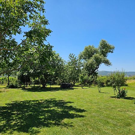 Apartma Bertoki Копер Экстерьер фото